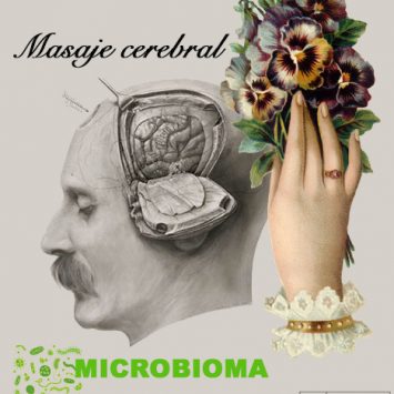 Masaje Cerebral: Microbioma