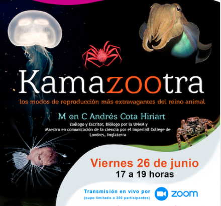 Kamazootra: los modos de reproducción más extravagantes del reino animal (evento en línea)