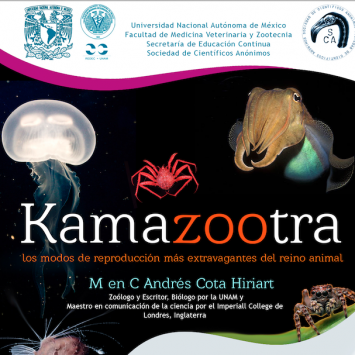 Kamazootra: los modos de reproducción más extravagantes del reino animal