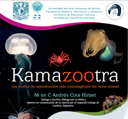 Kamazootra: los modos de reproducción más extravagantes del reino animal