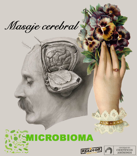 Masaje Cerebral: Microbioma