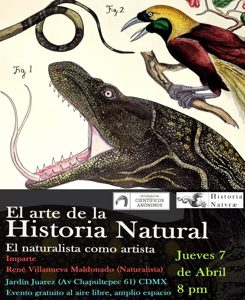 Científicos Anónimos #57: Arte de la Historia Natural / el naturalista como artista