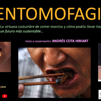 Científicos Anónimos (posada): ENTOMOFAGIA, la virtuosa costumbre de comer insectos