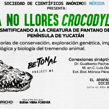 ¡Ya no llores Crocodylus! Desmitificando a la creatura del pantano de la península de Yucatán