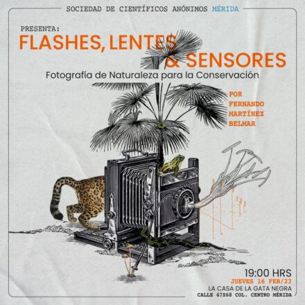 Científicos Anónimos Mérida #3: Flashes, lentes y sensores, fotografía de naturaleza para la conservación