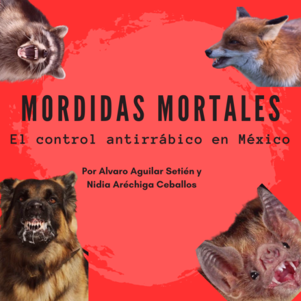 Mordidas Mortales: Control antirrábico en México