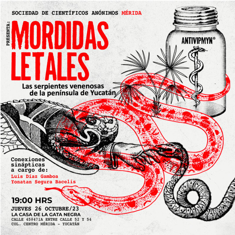 Científicos Anónimos MID: Mordidas Letales, serpientes venenosas de la península de Yucatán