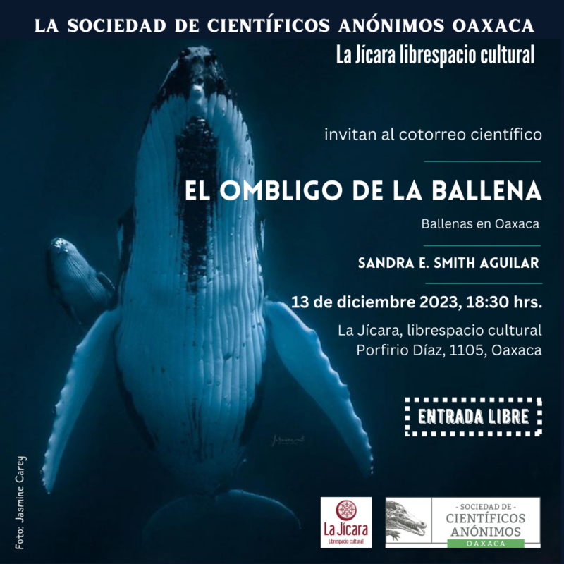 Científicos Anónimos OAX: El ombligo de la ballena