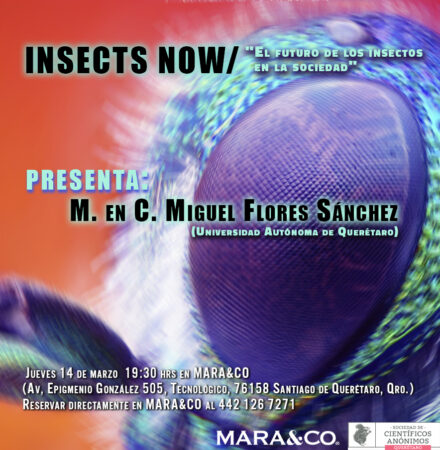 Científicos Anónimos QRO: Insects now, el futuro de los insectos