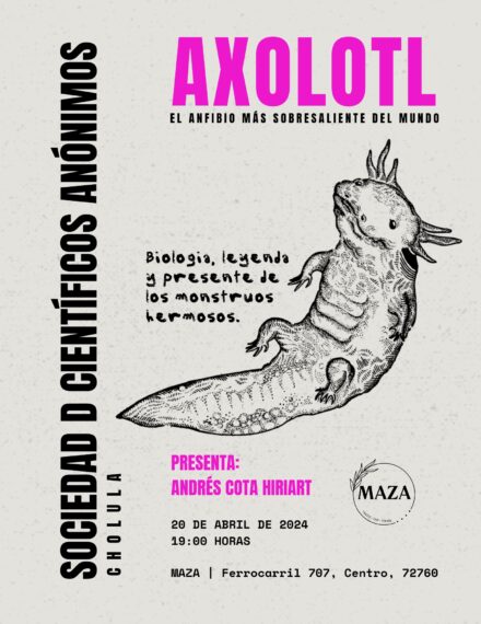 Lanzamiento Científicos Anónimos CHOLULA: Axolotl, ciencia y literatura
