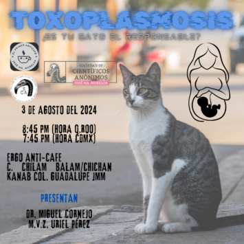 Toxoplasmosis: ¿Es tu gato el responsable? / SCA José Ma. Morelos