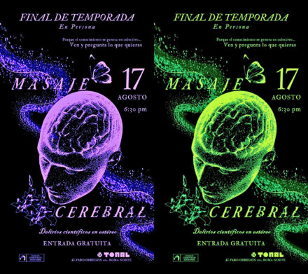 Masaje Cerebral EN PERSONA (gran final 5ª temporada)