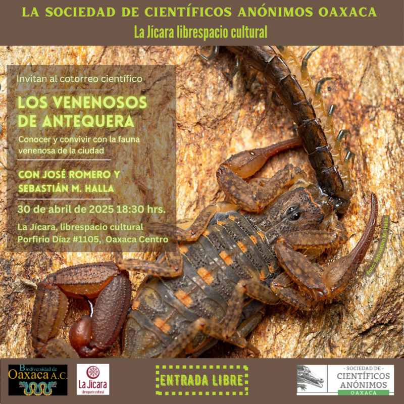 SCAOAX21 | Los Venenosos del Antequera: Conociendo y Conviviendo con la Fauna Venenosa de la Ciudad