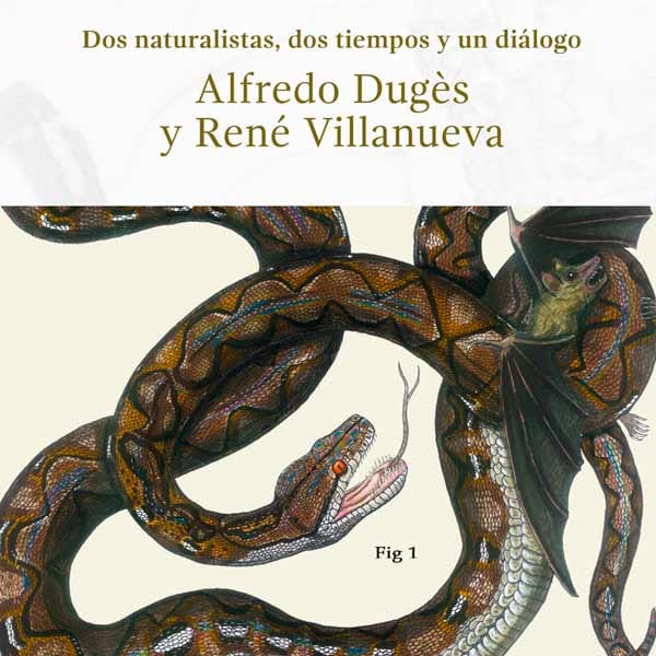 #SCARecomienda | Dos Naturalistas, Dos tiempos y un Diálogo: Un Encuentro por la Biodiversidad / SCA Guanajuato