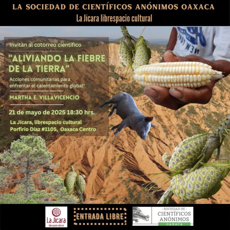 <strong>SCAOAX23: Aliviando la fiebre de la tierra. Acciones comunitarias para enfrentar el calentamiento global</strong>