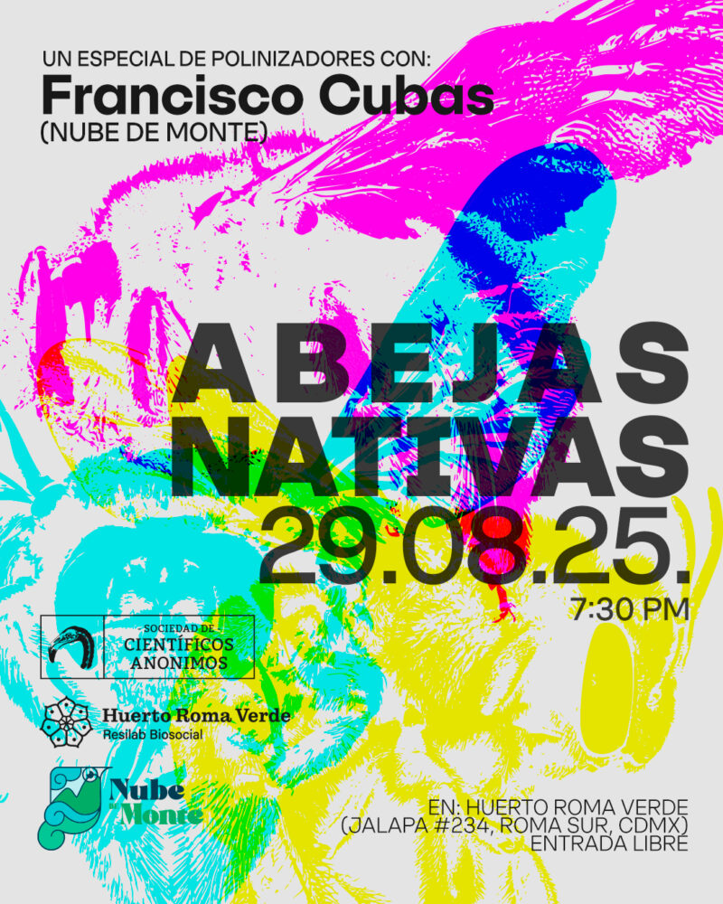 Una introducción al fascinante mundo de las abejas nativas / CDMX