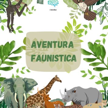 Aventura Faunistica / SCA Puebla