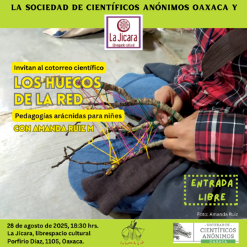 <strong>SCAOAX27: LOS HUECOS DE LA RED. Pedagogías arácnidas para niñes</strong>