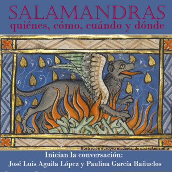Salamandras: quiénes, cómo, cuándo y dónde / SCA San Cristobal de las Casas