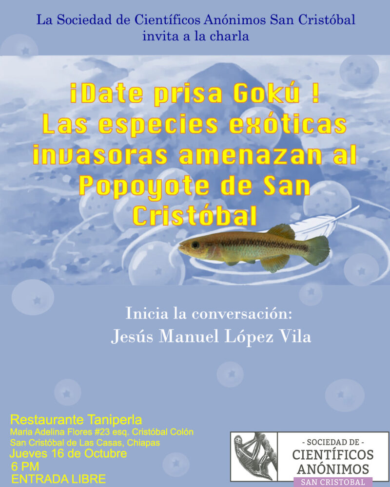 ¡Date prisa Gokú, las especies exóticas invasoras amenazan al Popoyote de San Cristóbal! / SCA San Cristóbal de las Casas