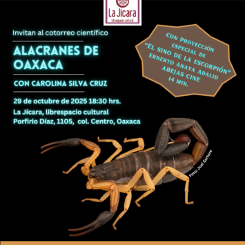 <strong>SCAOAX28: Alacranes de Oaxaca</strong> <strong>SCAOAX28: Alacranes de Oaxaca</strong>