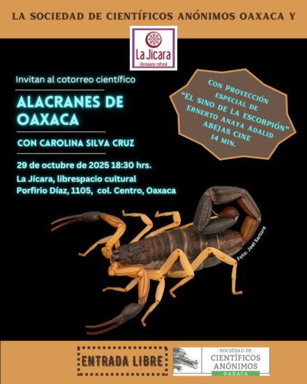 <strong>SCAOAX28: Alacranes de Oaxaca</strong>