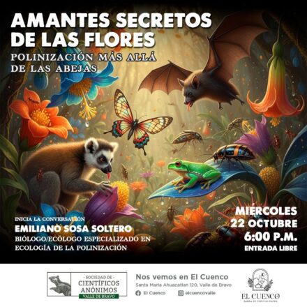 Amantes Secretos de las Flores: Polinización más allá de las Abejas / SCA Valle de Bravo