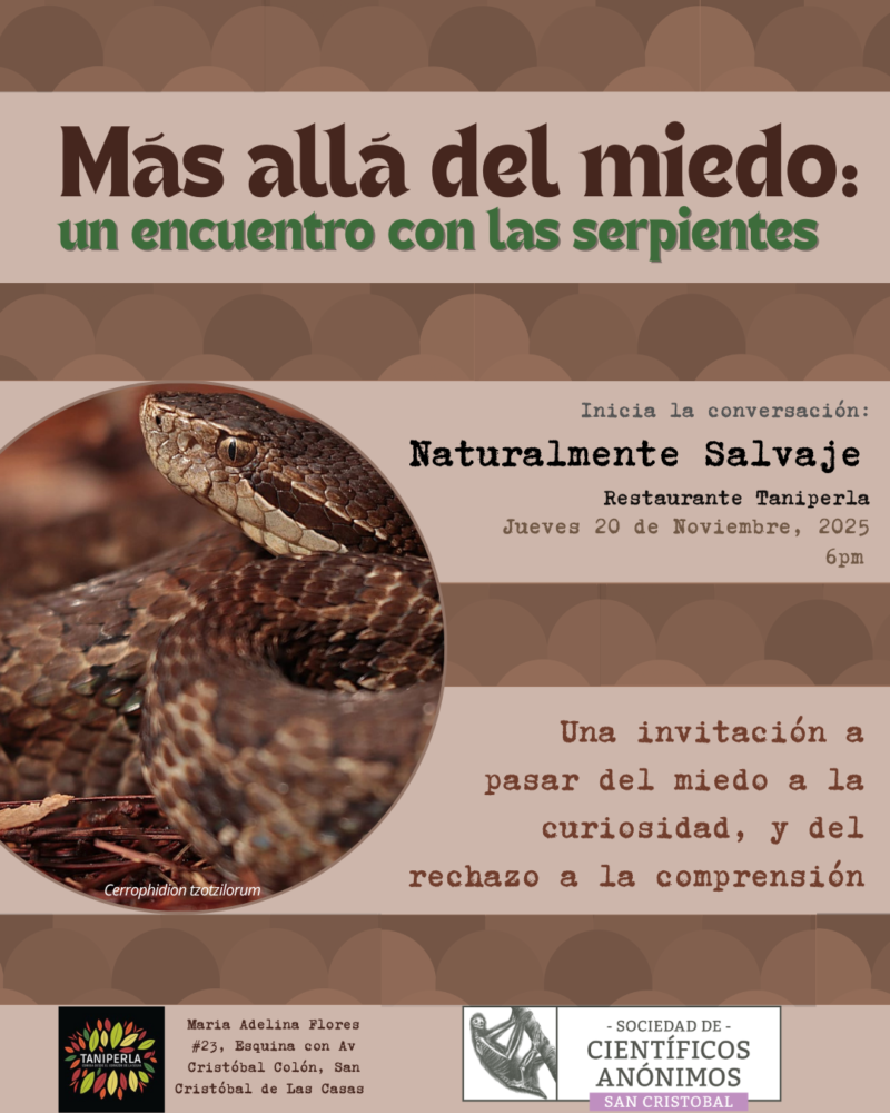 Más allá del miedo: un encuentro con las serpientes / SCA San Cristóbal de las Casas