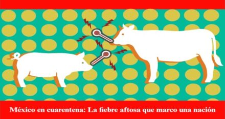 México en Cuarentena: La Fiebre aftosa que marcó una Nación