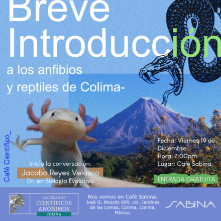 Breve introducción a los anfibios y reptiles de Colima / SCA Colima