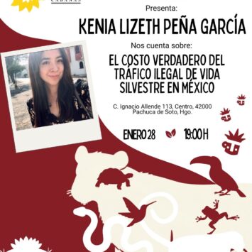 El Costo Verdadero del Tráfico Ilegal de Vida Silvestre en México / SCA Pachuca