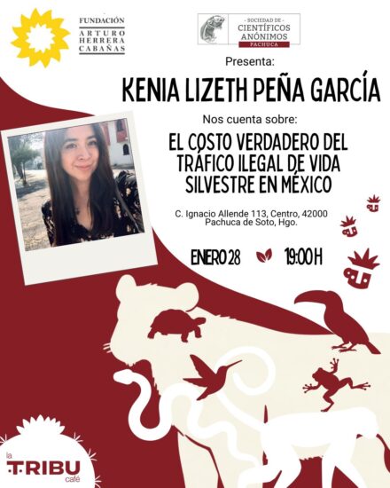 El Costo Verdadero del Tráfico Ilegal de Vida Silvestre en México / SCA Pachuca