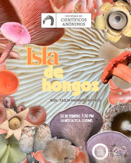 Isla de Hongos / SCA Playa del Carmen – Cozumel