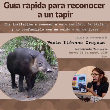 Guía rápida para reconocer un Tapir / SCA San Cristóbal de las Casas