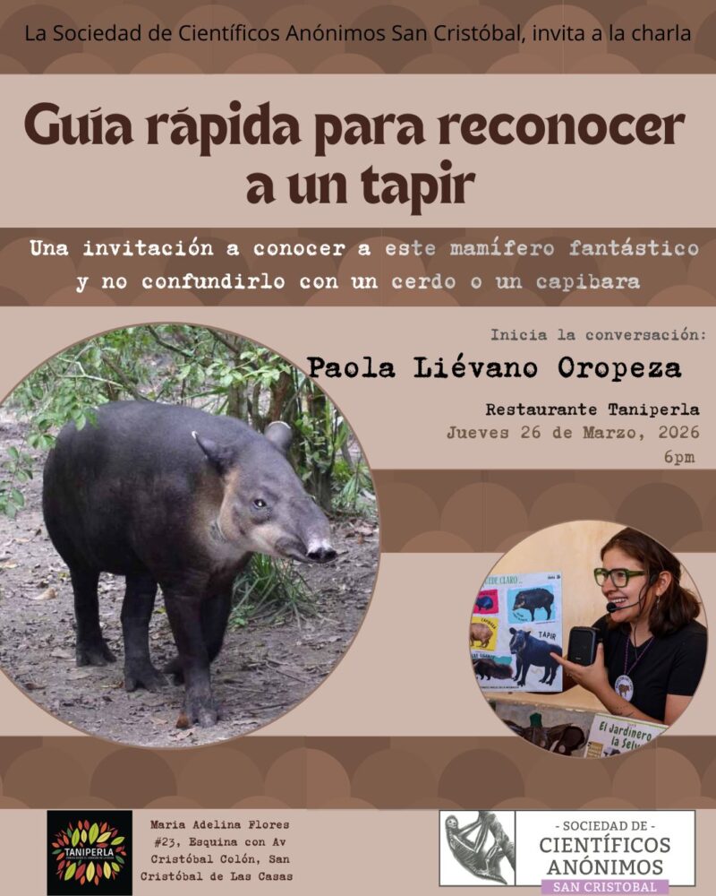 Guía rápida para reconocer un Tapir / SCA San Cristóbal de las Casas