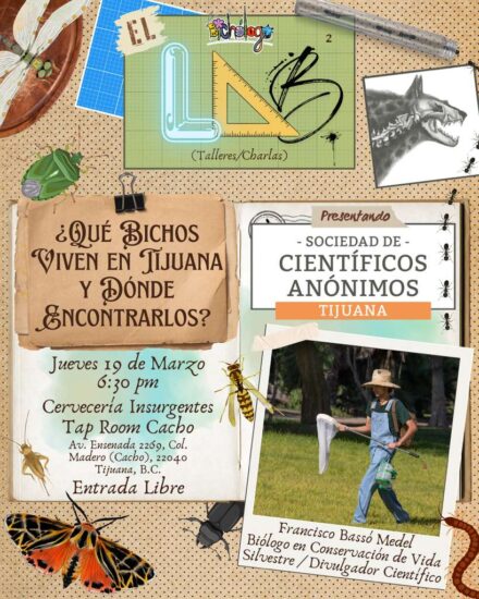 ¿Qué bichos viven en Tijuana y dónde encontrarlos? / SCA Tijuana