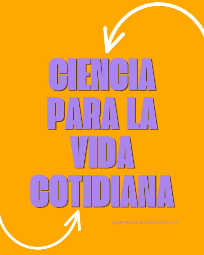 Ciencia para la Vida Cotidiana / SCA Cholula