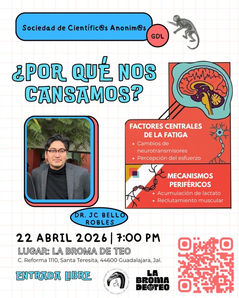 ¿Por qué nos cansamos? / SCA GDL