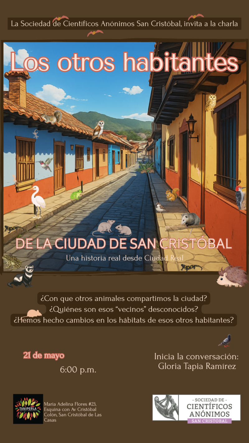 Los otros habitantes de la Ciudad de San Cristóbal / SCA San Cristóbal de las Casas