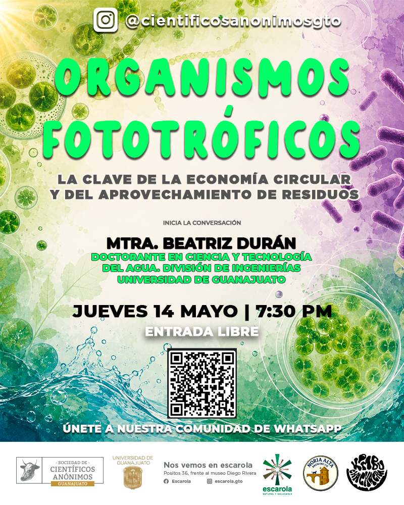 Organismos Fototróficos: La clave de la economía circular y del aprovechamiento de residuos / SCA Guanajuato