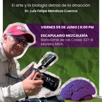 ¿Eres Zombie o por qué te gusta mi Cerebro? / SCA Morelia
