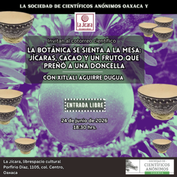 SCAOAX35: La Botánica se sienta a la mesa: jícaras, cacao y un fruto que preñó a una doncella