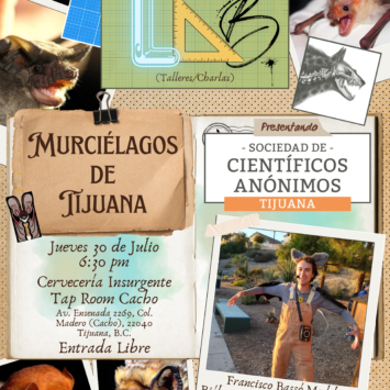 Murciélagos de Tijuana / SCA Tijuana