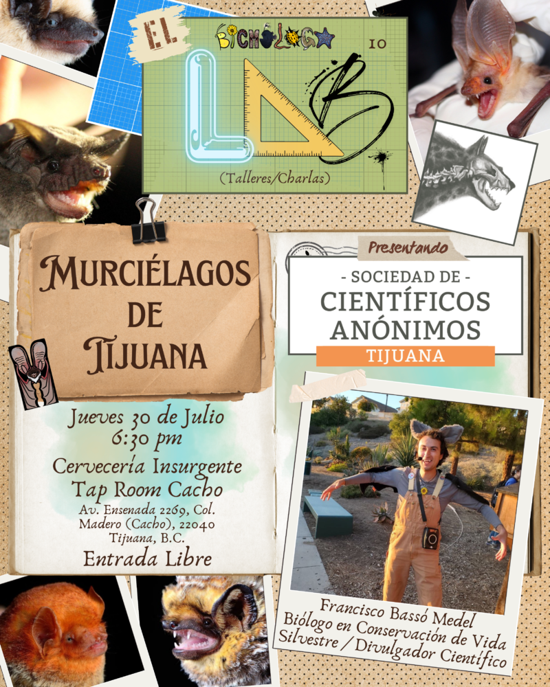 Murciélagos de Tijuana / SCA Tijuana