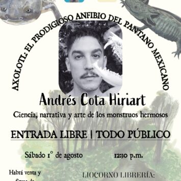 ANIVERSARIO PACHUCA 2×1: Axolotl, el prodigioso anfibio mexicano y 6pm Entomofagia o la virtuosa costumbre de comer insectos