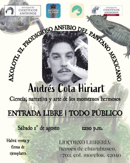 ANIVERSARIO PACHUCA 2×1: Axolotl, el prodigioso anfibio mexicano y 6pm Entomofagia o la virtuosa costumbre de comer insectos