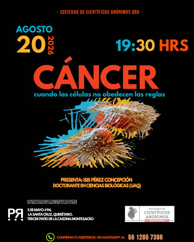Cáncer: cuando las células no obedecen las reglas