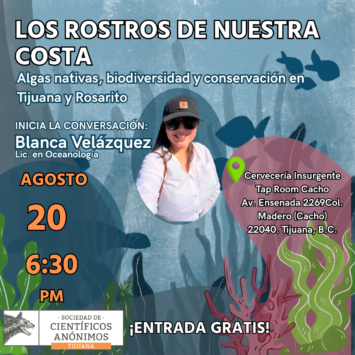LOS ROSTROS DE NUESTRA COSTA / Algas nativas, biodiversidad y conservación en Tijuana y Rosarito / Tijuana