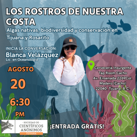 LOS ROSTROS DE NUESTRA COSTA / Algas nativas, biodiversidad y conservación en Tijuana y Rosarito / Tijuana