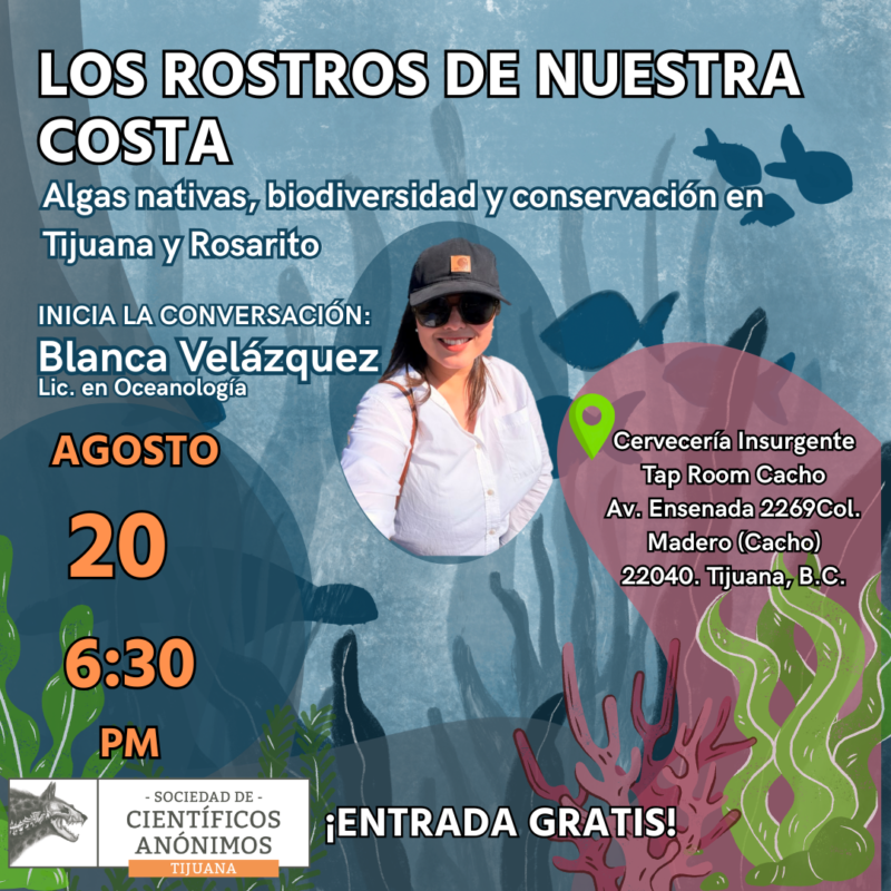 LOS ROSTROS DE NUESTRA COSTA / Algas nativas, biodiversidad y conservación en Tijuana y Rosarito / Tijuana